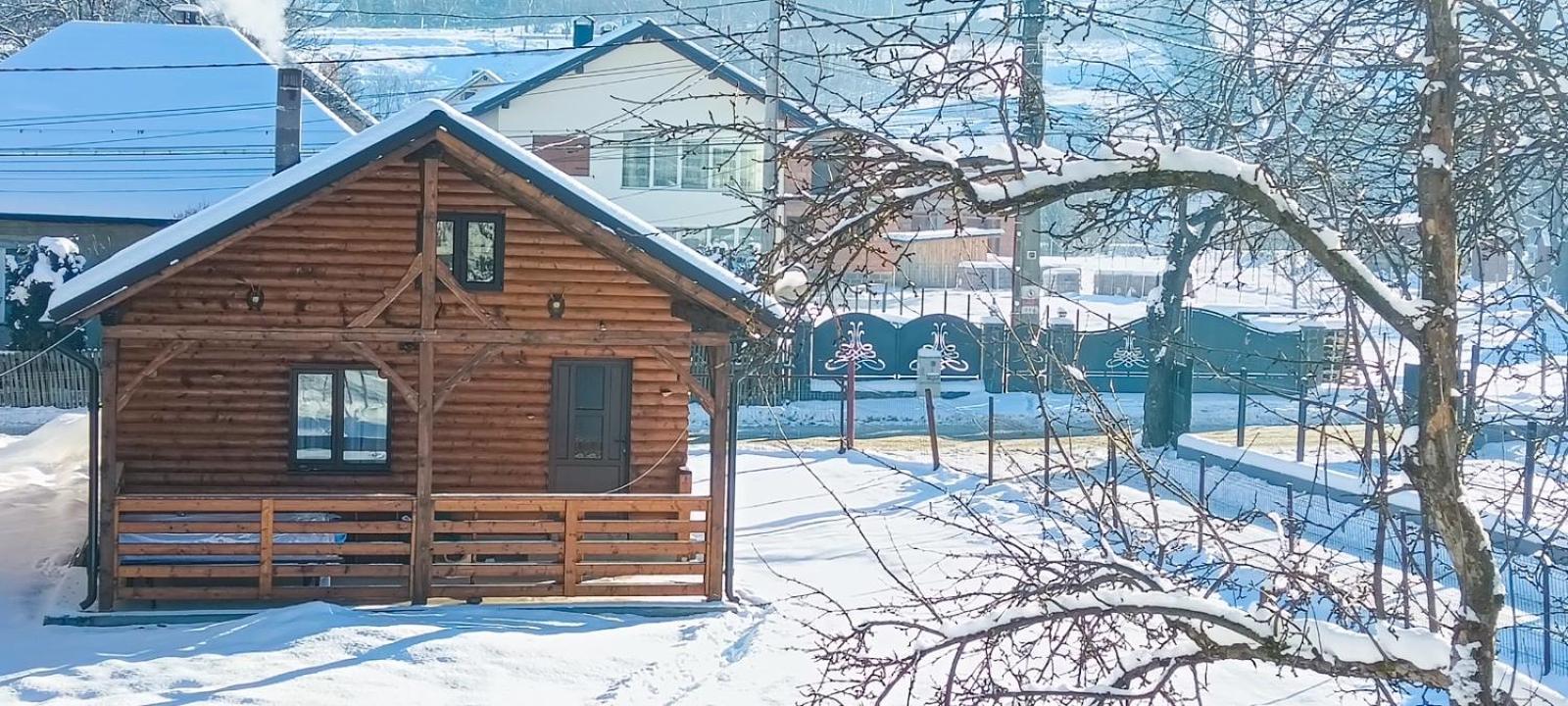 Вілла Casuta Adelina Borsa Екстер'єр фото